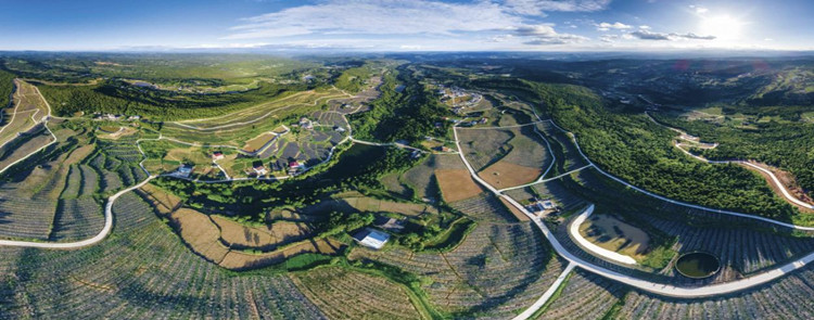 ˮشɽͤɰٮaI@whýwĹD