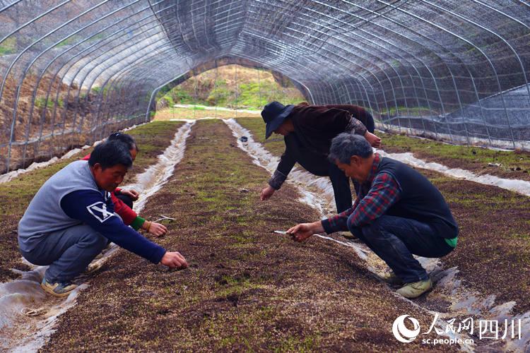 ȺˎķNֲ؄չ ۳֔z