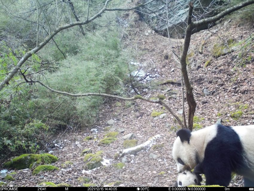 20211215tCĔz؈ĸӻ؈ҹ@ƼҺƬ^D