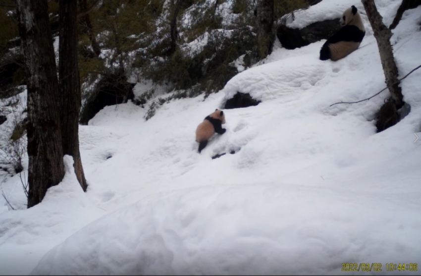 202232tCĔz؈̻؈ҹ@ƼҺƬ^D