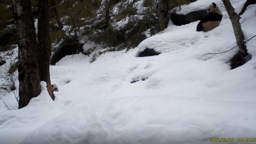 202232tCĔz؈̻؈ҹ@ƼҺƬ^D