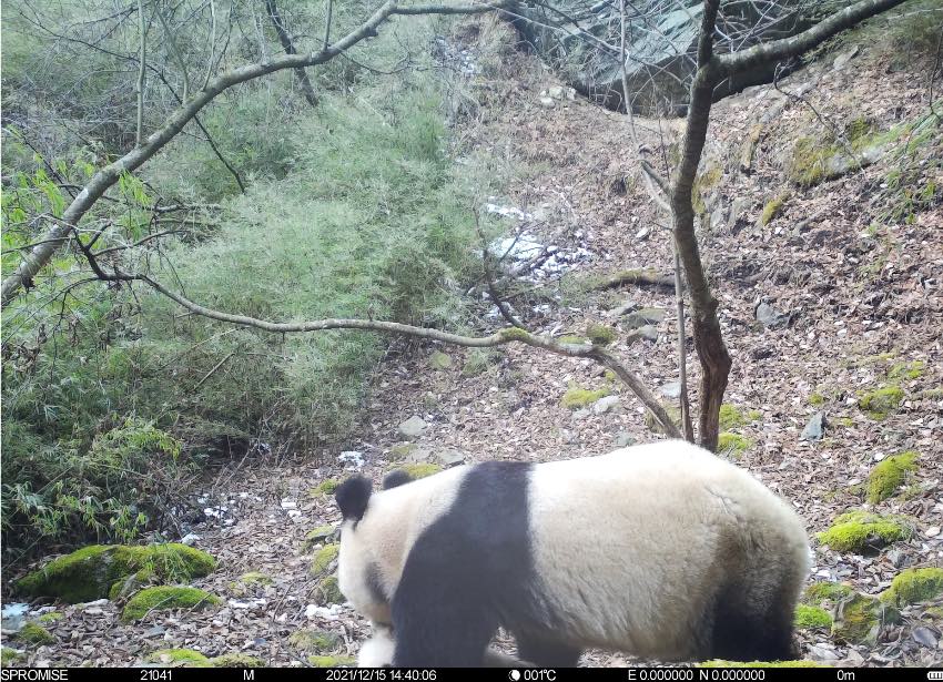 20211215tCĔz؈ĸӻ؈ҹ@ĴVԪƼҺӹD