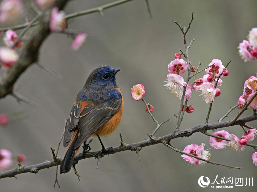 Ϣڼt÷֦{~tβzdz