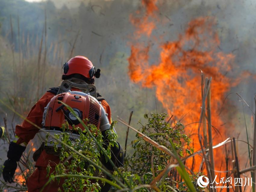 421Ĵʡɶнÿhwօ^Tړ򱱂Ȼѩz