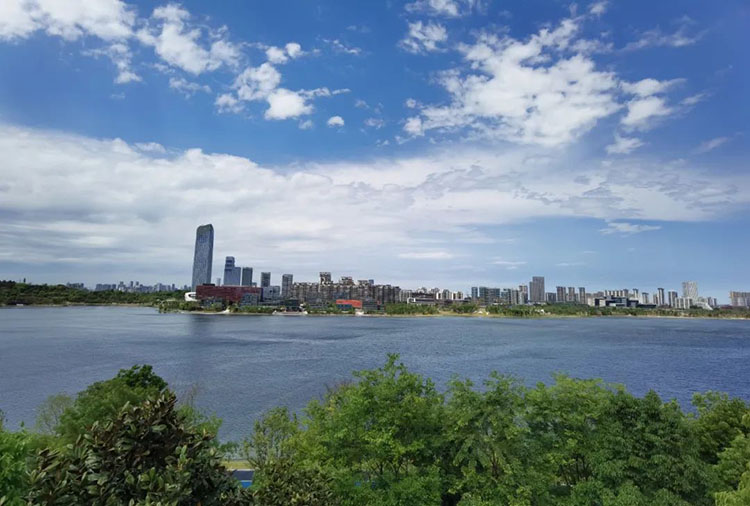 еĺ츮^ýwĹD