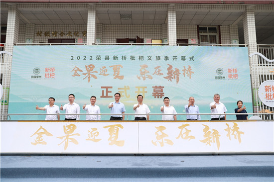 “金果迎夏·樂在新橋”枇杷文旅季正式開幕。主辦方供圖