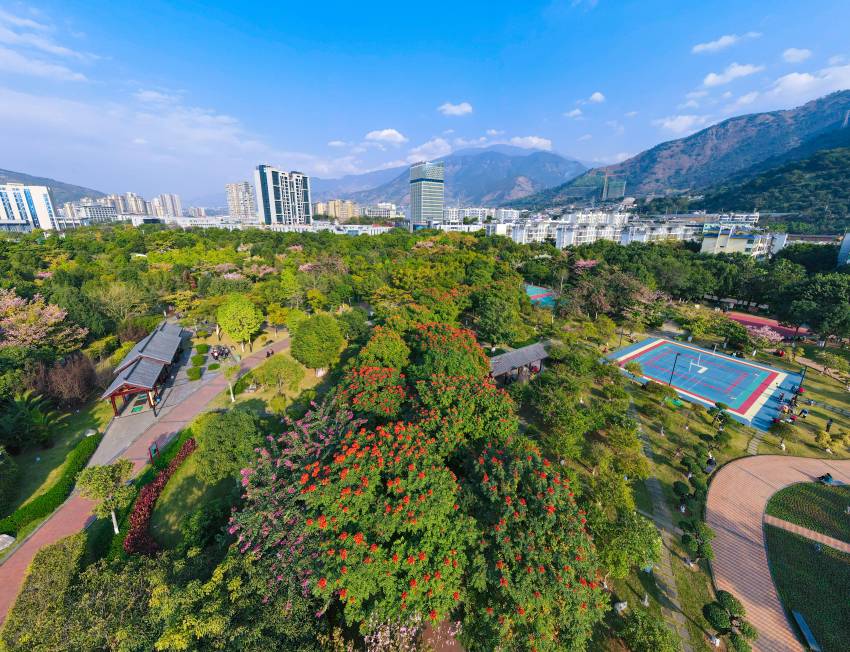 陽光康養。米易縣融媒體中心供圖