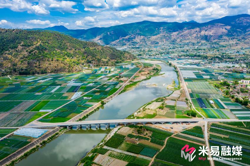 沿河綠色稻田。米易縣融媒體中心供圖