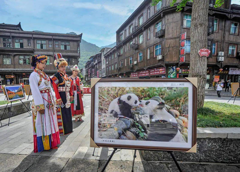 ؑcǭ^_չSԴzo}ɹչ ĴʡĻΏdD