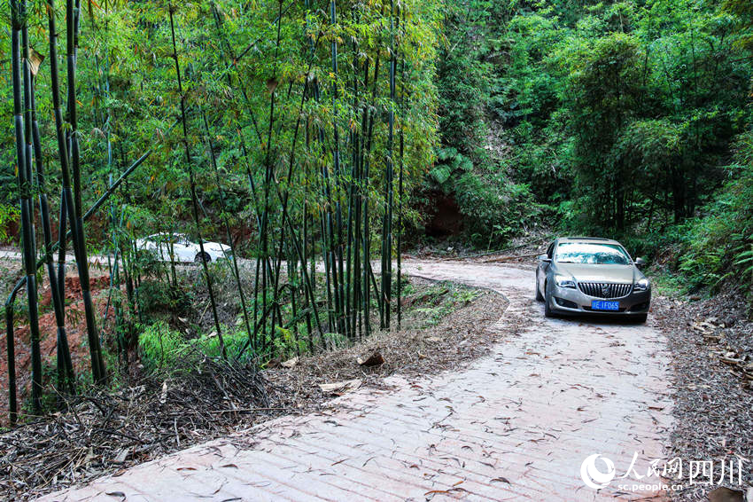 hʯ悌Tɽϵ޵·z