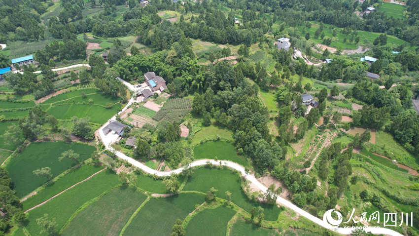 空中鳥瞰新馬路。侯杰攝