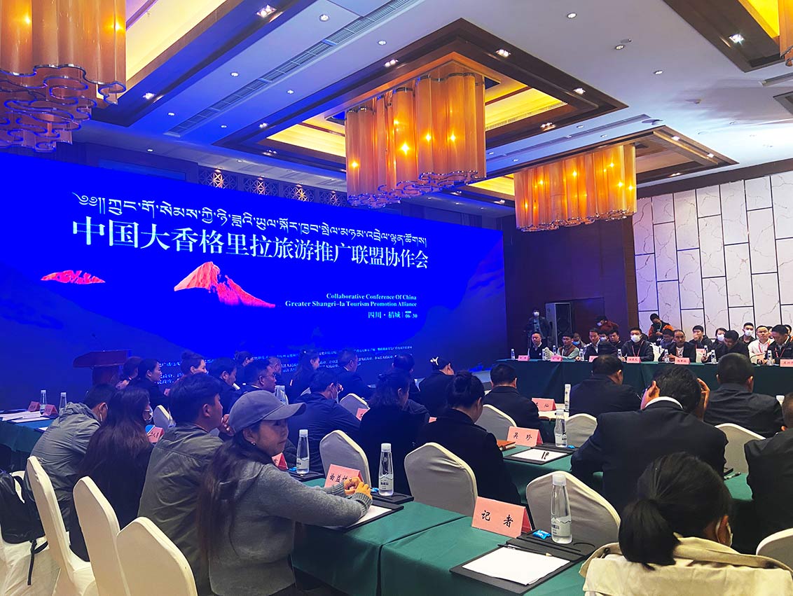 協作會現場。王曦攝