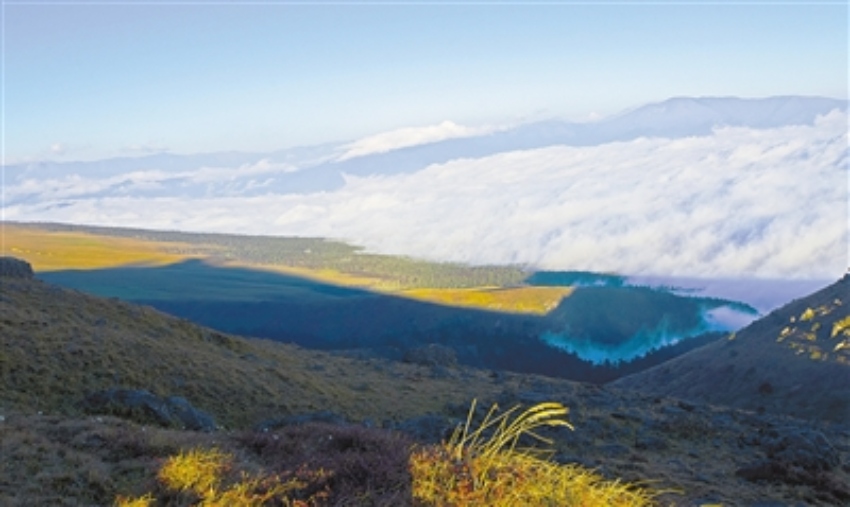 馬邊大風頂國家級自然保護區。樂山市生態環境局供圖