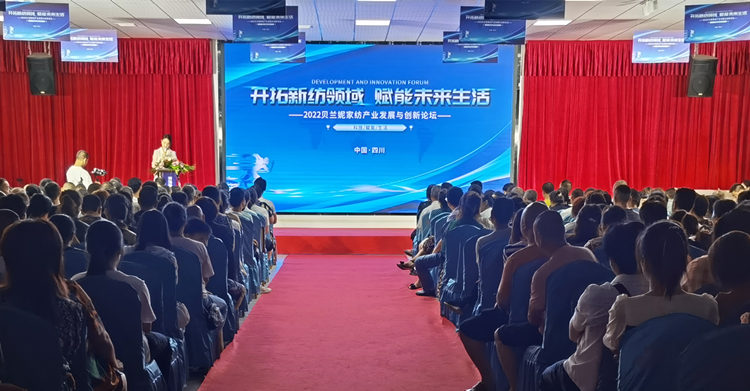 論壇現場。綿竹市融媒體中心供圖