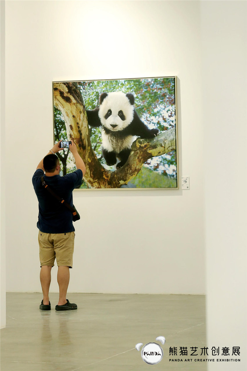 觀眾在觀看參展作品。主辦方供圖