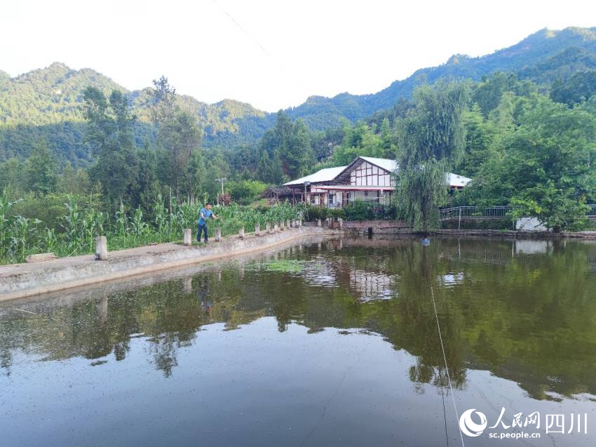 飼草養殖的魚兒很受釣友青睞。趙斌攝
