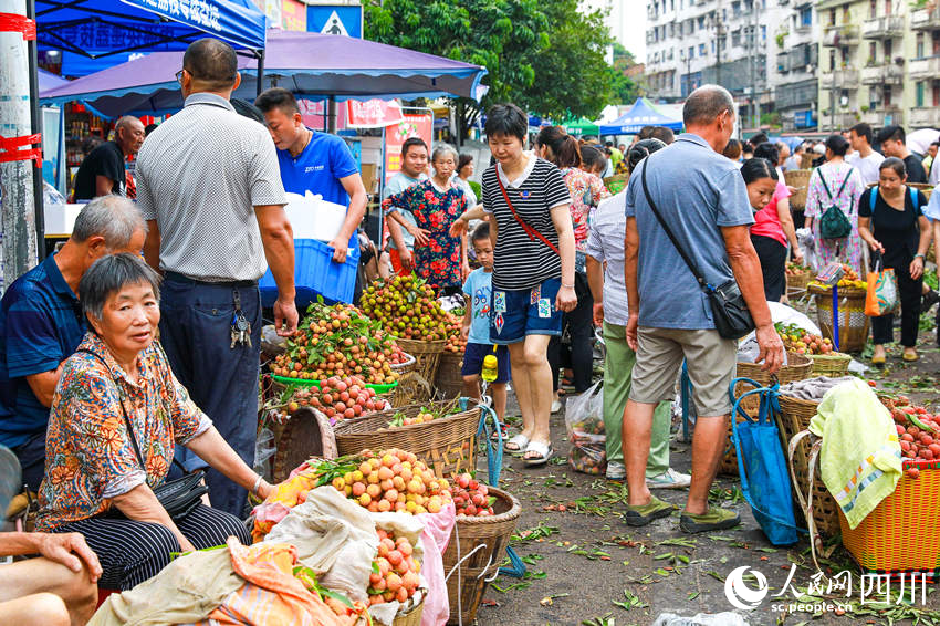 合江縣馬街荔枝交易市場上，大紅袍、糥米糍、黛綠、妃子笑、降沙蘭、欽州紅荔等優質品種荔枝應有盡有，滿足廣大消費者不同的口味需求。李貴平攝