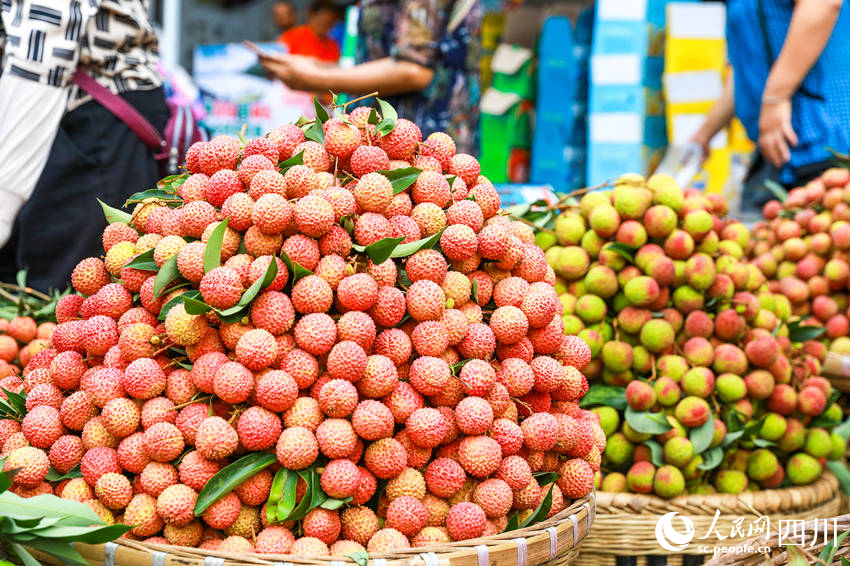 合江縣馬街荔枝交易市場上，最受消費者喜愛的黛綠荔枝是經濟價值最高的品種之一，也是合江縣大力引導農民廣泛種植的主要優質荔枝品種。李貴平攝