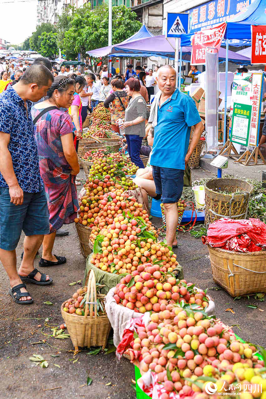 合江縣馬街荔枝交易市場上人來人往，荔枝交易紅火。李貴平攝