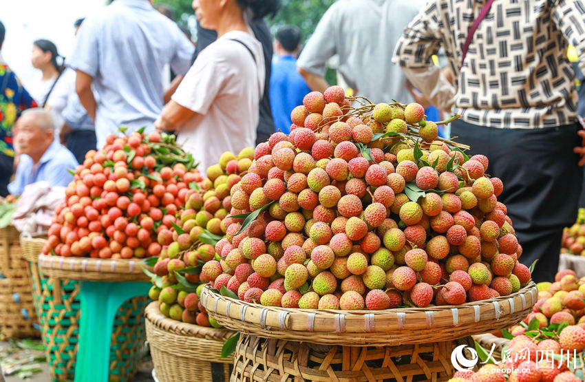 合江縣馬街荔枝交易市場上銷售的妃子笑荔枝鮮艷欲滴。李貴平攝
