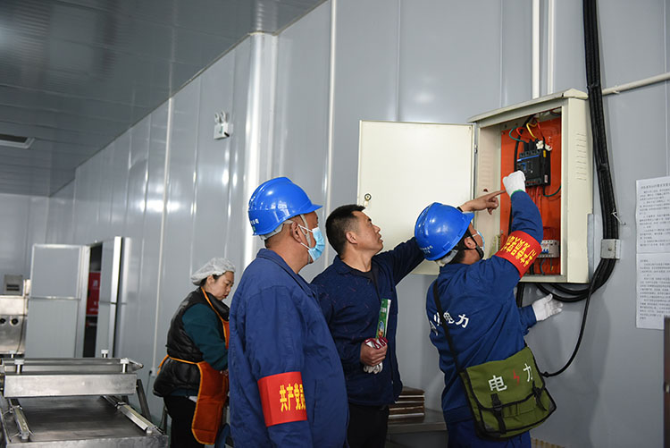 電力工作人員到企業檢修線路。朝天區融媒體中心供圖