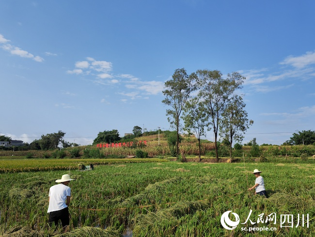 現場測方。曾佐然攝