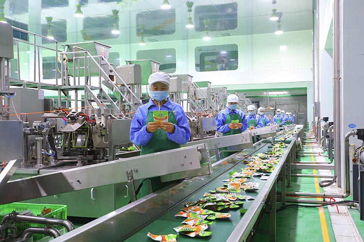 某企業車間生產線高速運轉。四川省稅務局供圖