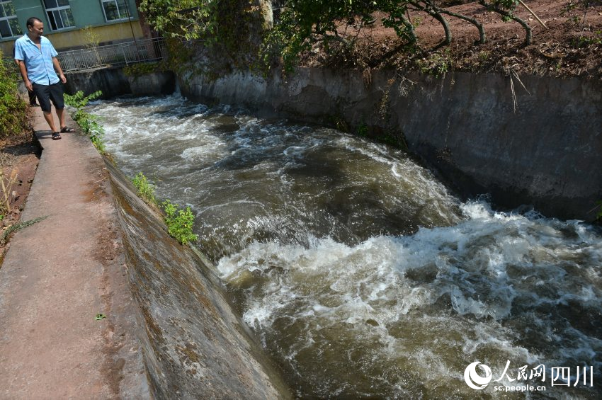 沱灌開閘放水。王斌攝
