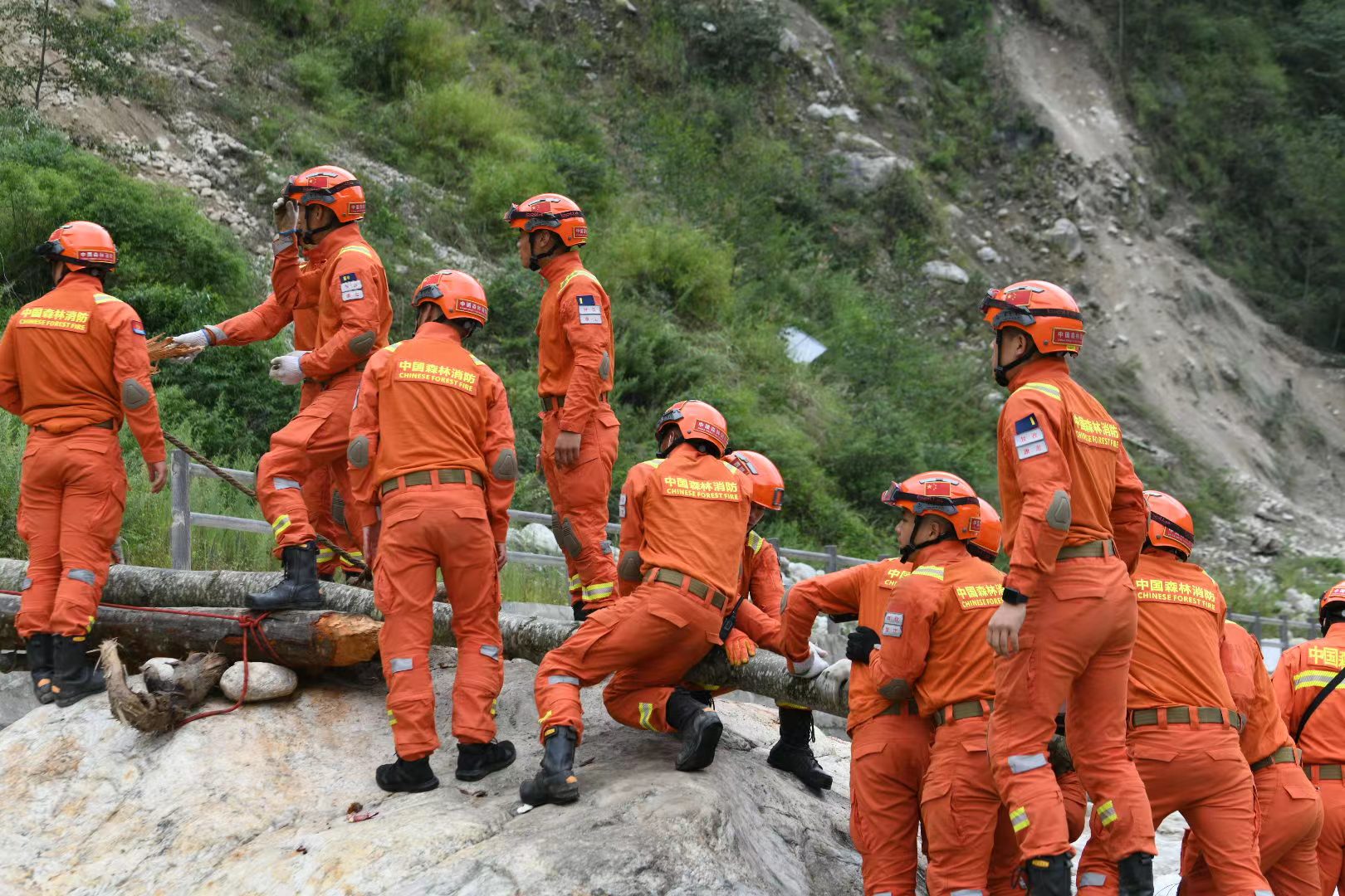 加固簡易橋梁，森林消防員護送傷員就醫。四川省森林消防總隊供圖