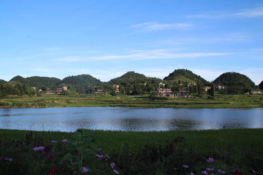 湖畔綠盈盈。摩尼鎮供圖