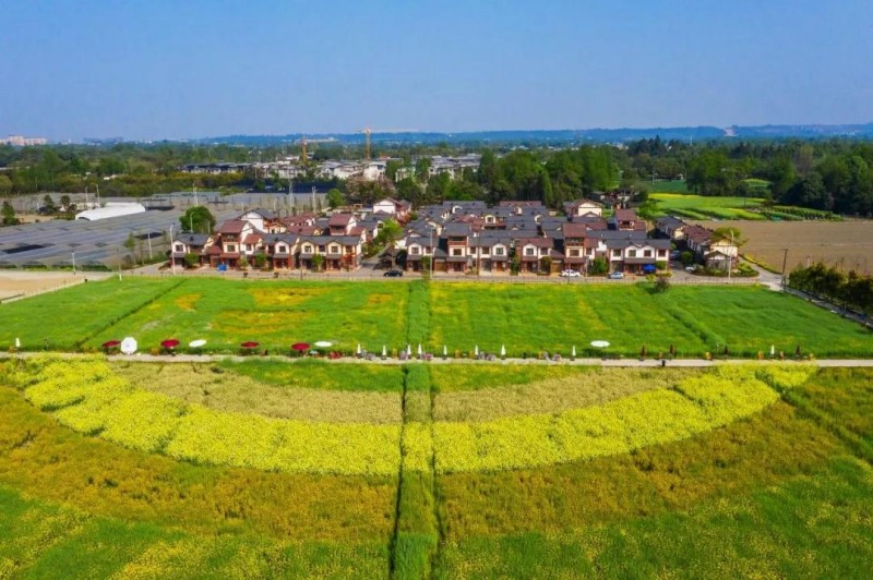 迎豐收盛會，賞醉美雙流。雙流區農業農村局供圖