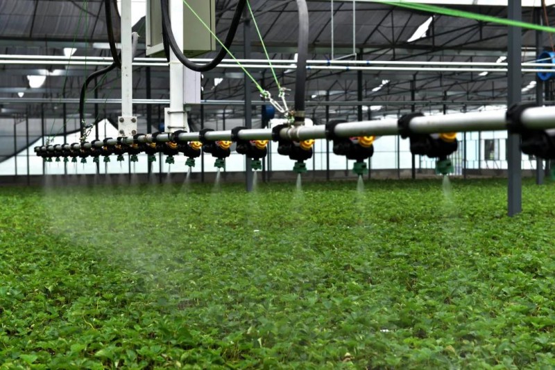 雙流主要農作物綜合機械化率超過了89%。雙流區農業農村局供圖