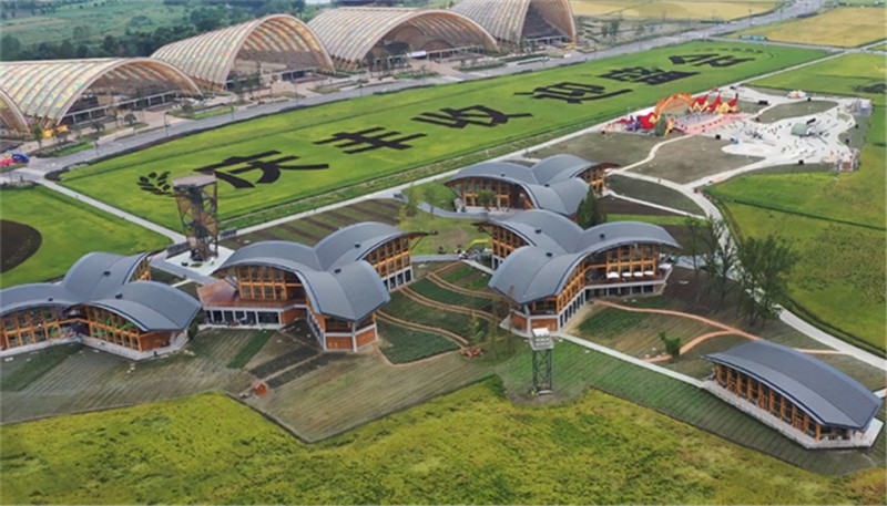 中國天府農博園內，建筑青苗展現出生機勃勃的畫面。新津區委宣傳部供圖