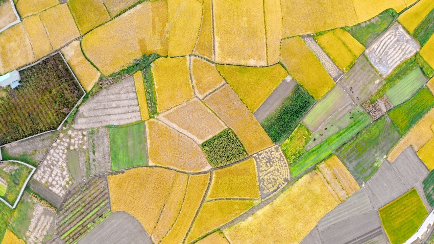 冕寧縣宏模鎮新陽村。冕寧縣融媒體中心供圖