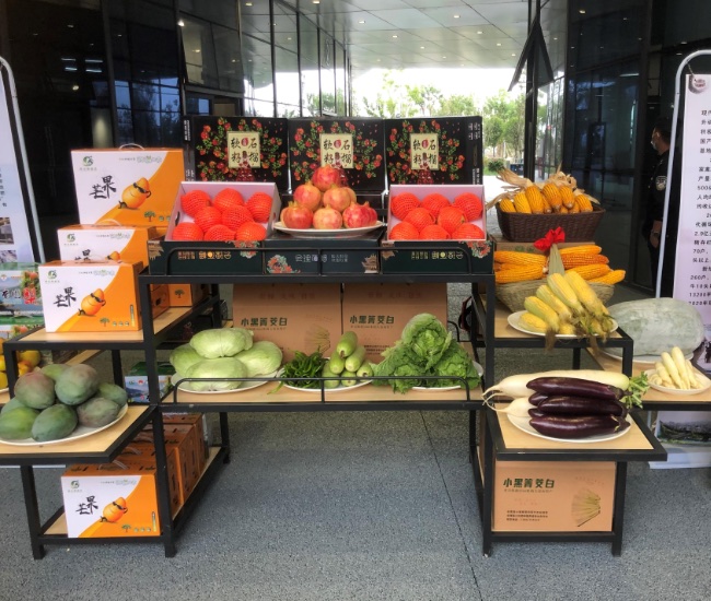 參展農產品。涼山州委宣傳部供圖