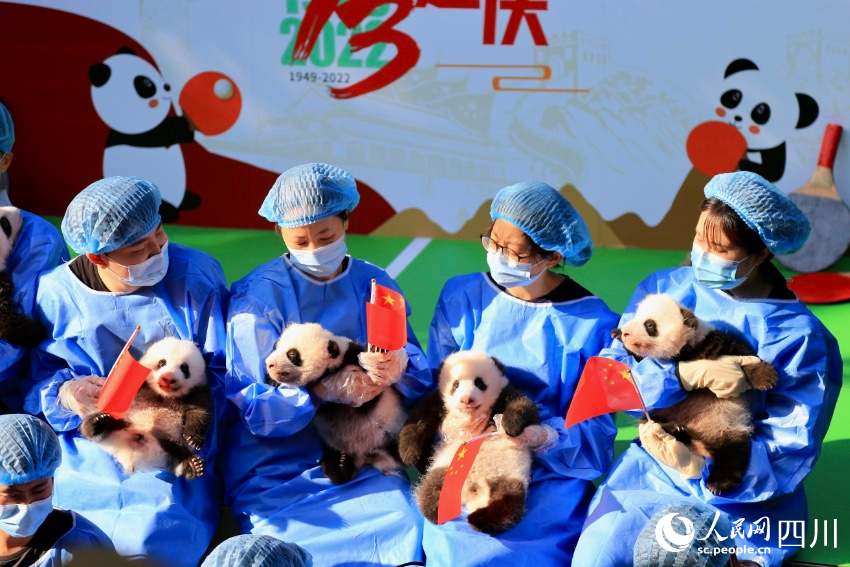 新生幼崽齊亮相。人民網 朱虹攝