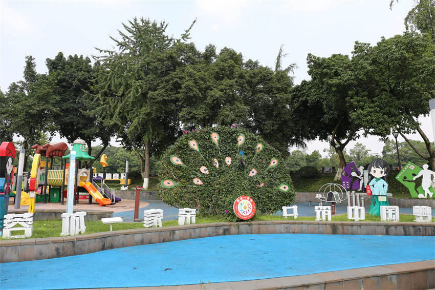 蓉城一家親“孔雀開屏”景觀。民宗局供圖