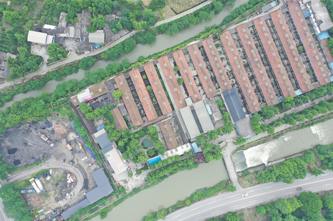 犯罪嫌疑人非法飼養小熊貓的廠房。樂山公安供圖