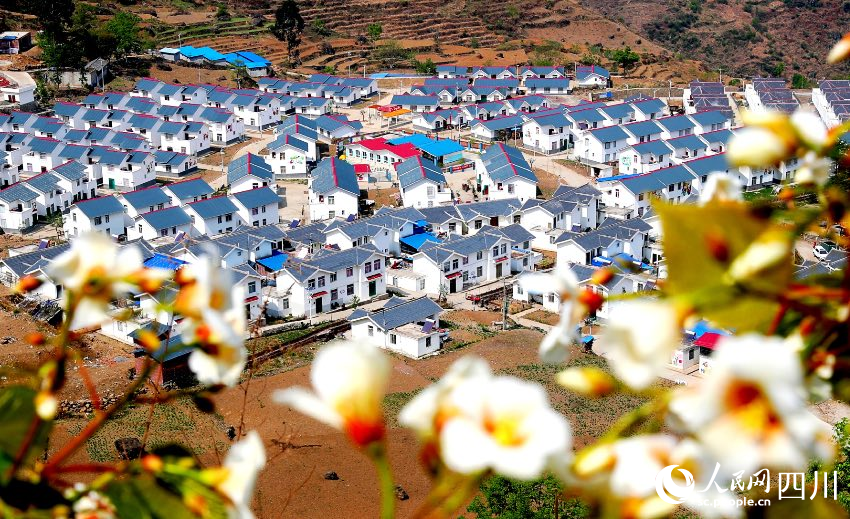 春到甘洛彝鄉。施建華攝