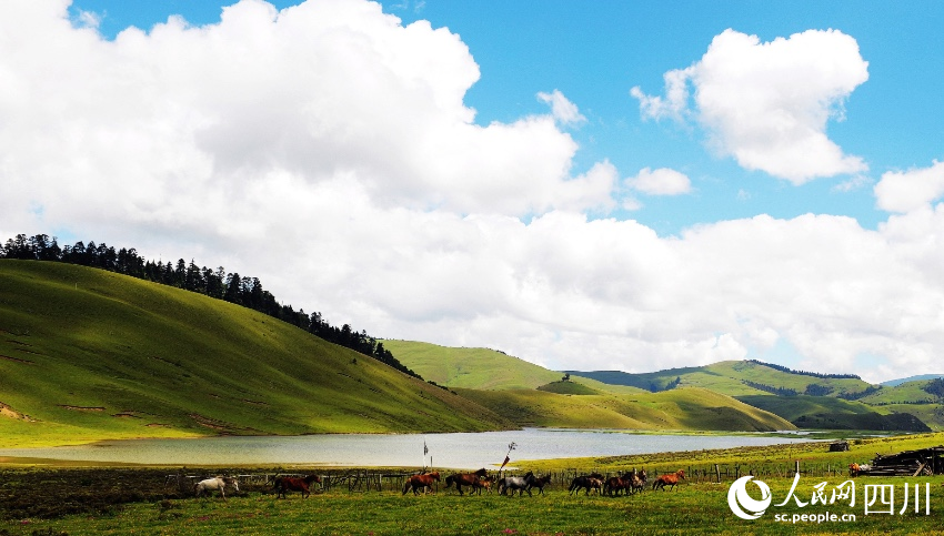 木里被譽為“上帝瀏覽的花園”“群山環抱的童話之地”，境內雪山、湖泊、森林、草原等多種景觀交融。馬楠攝