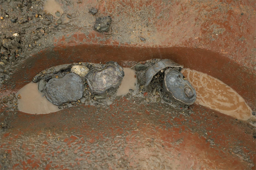 考古發掘出的部分文物。四川省文物考古研究院供圖