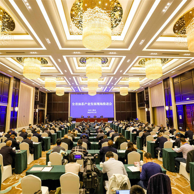 四川省油茶產業發展現場推進會現場。榮縣縣委宣傳部供圖