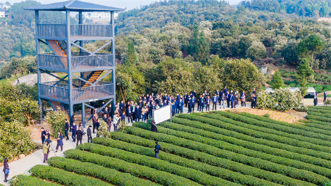 四川省油茶產業發展現場推進會在自貢市榮縣舉行，與會人員在榮縣油茶現代林業園區參觀考察。榮縣縣委宣傳部供圖