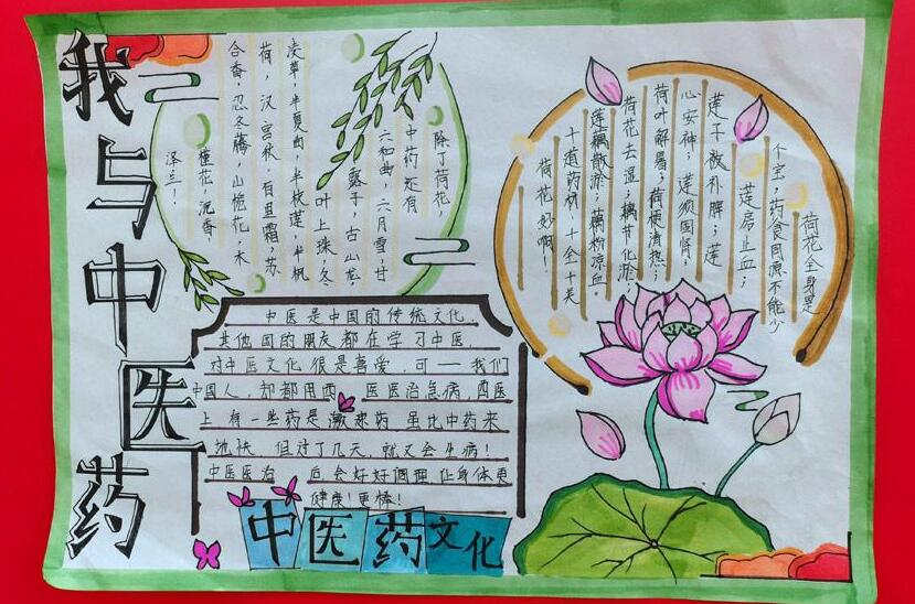 中醫藥進校園，孩子變成“小中醫”