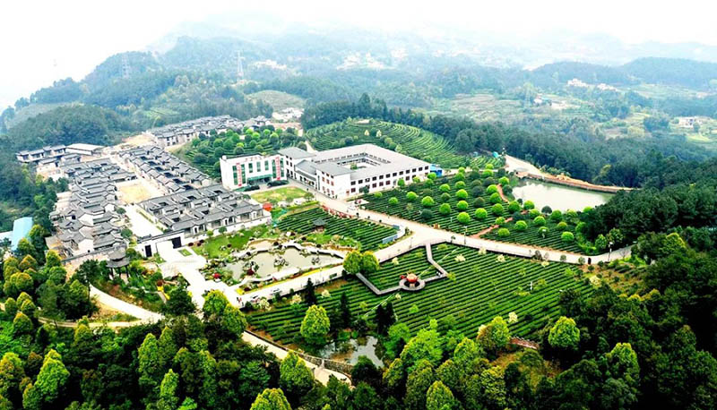 來復鎮的一角。高縣縣委宣傳部供圖