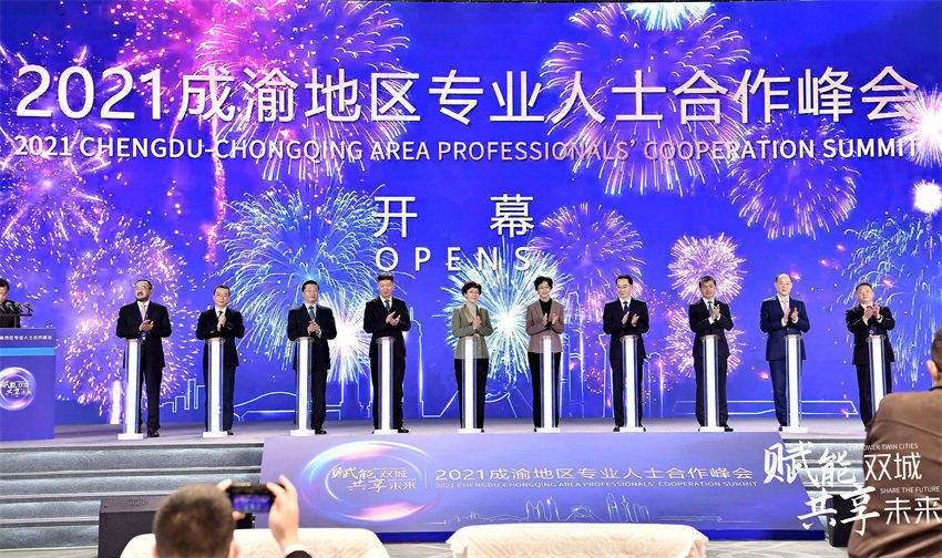 成渝地區專業人士合作峰會現場。天府新區區委統戰部供圖