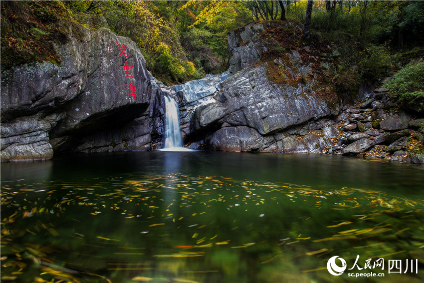 碧云潭下千鯉聚。董開國攝
