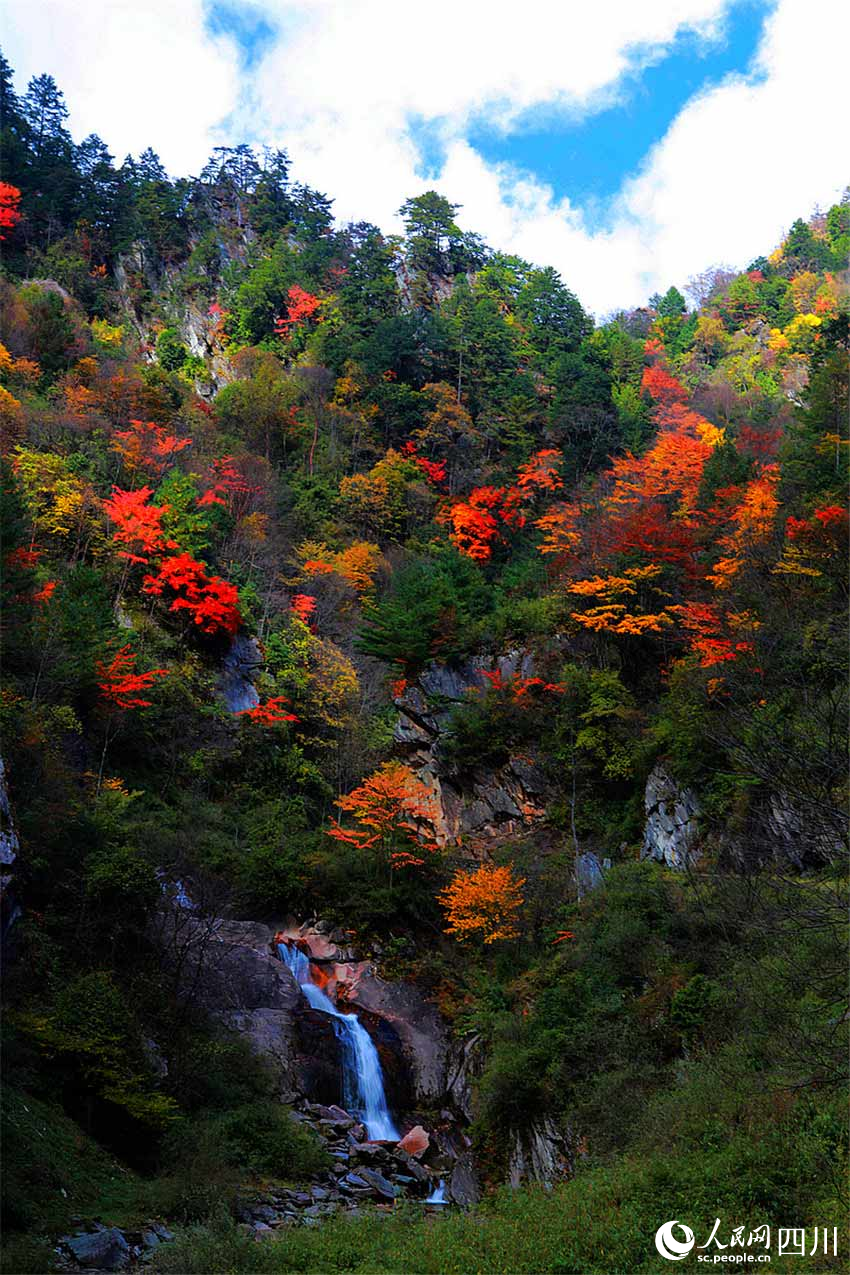 天工開物五彩畫。沈若飛攝