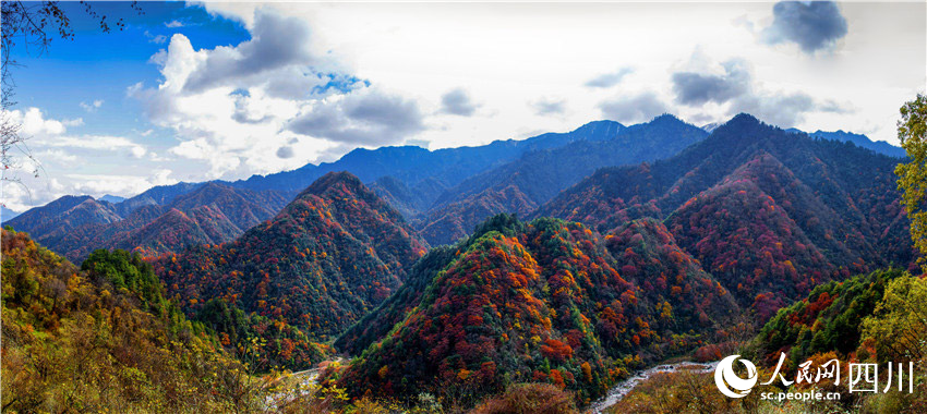 喜看美景一重重。董開國攝