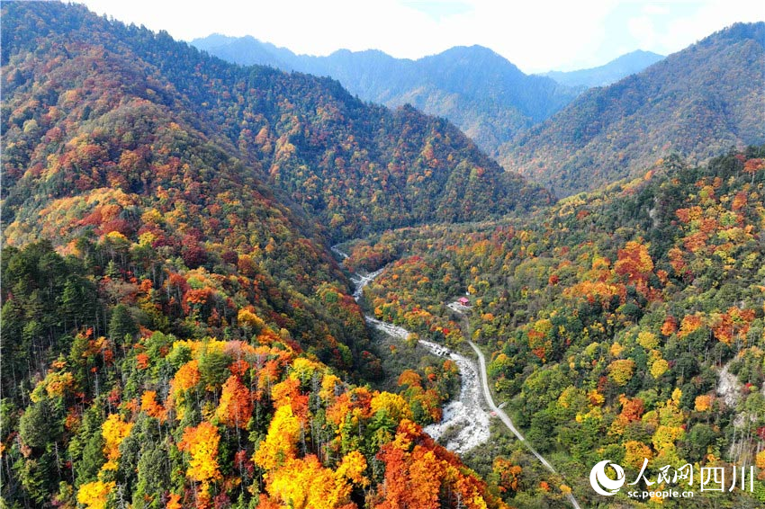 心隨曲徑通幽處。張蓉攝